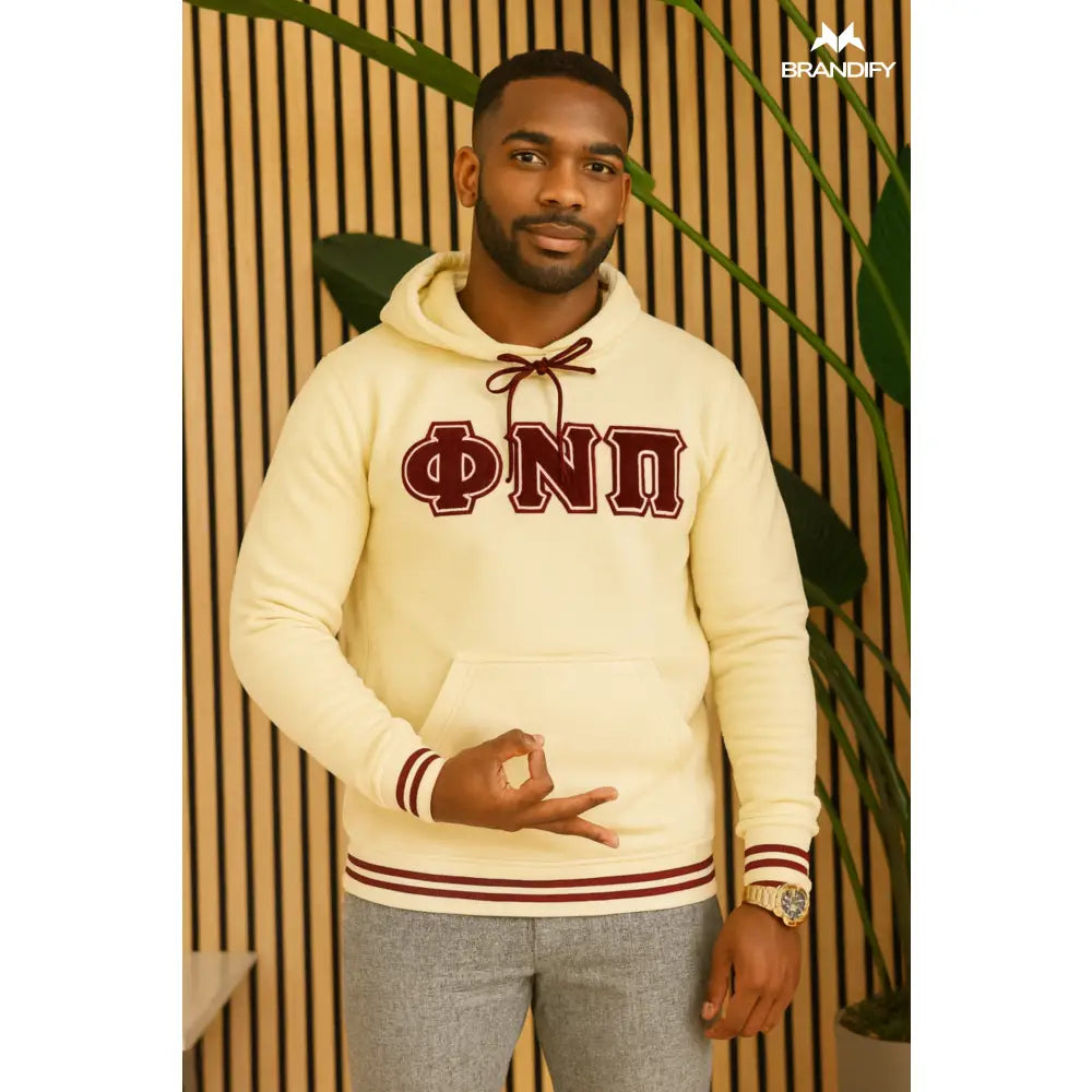 Custom Custom ΦΝΠ Chenille Hoodie | Custom D9 personalized Greek apparel design