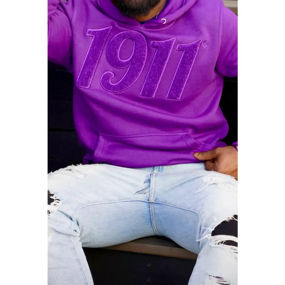 Custom Custom Solid Purple 1911 Chenille Hoodie | Custom D9 personalized Greek apparel design